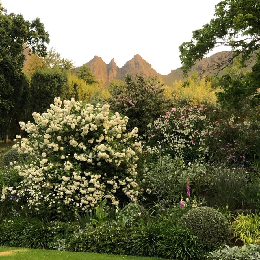 Longfield House Villa Stellenbosch Buitenkant foto